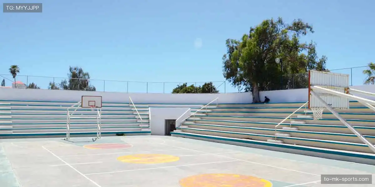 🔥【赛事名称】热血开赛！巅峰对决，勇往直前🏆